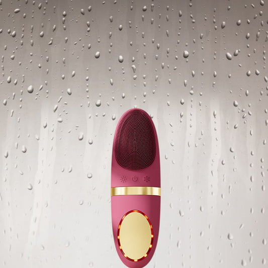 Brosse de nettoyage pour le visage